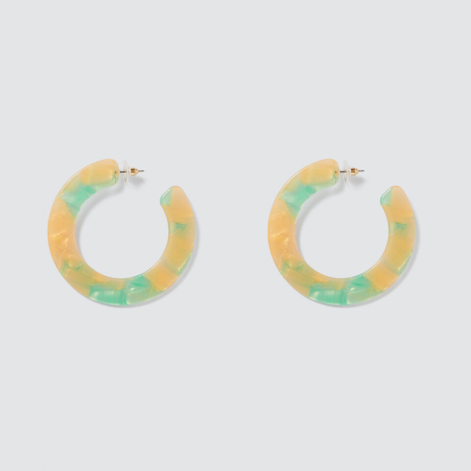 Coloured Hoop Earrings  