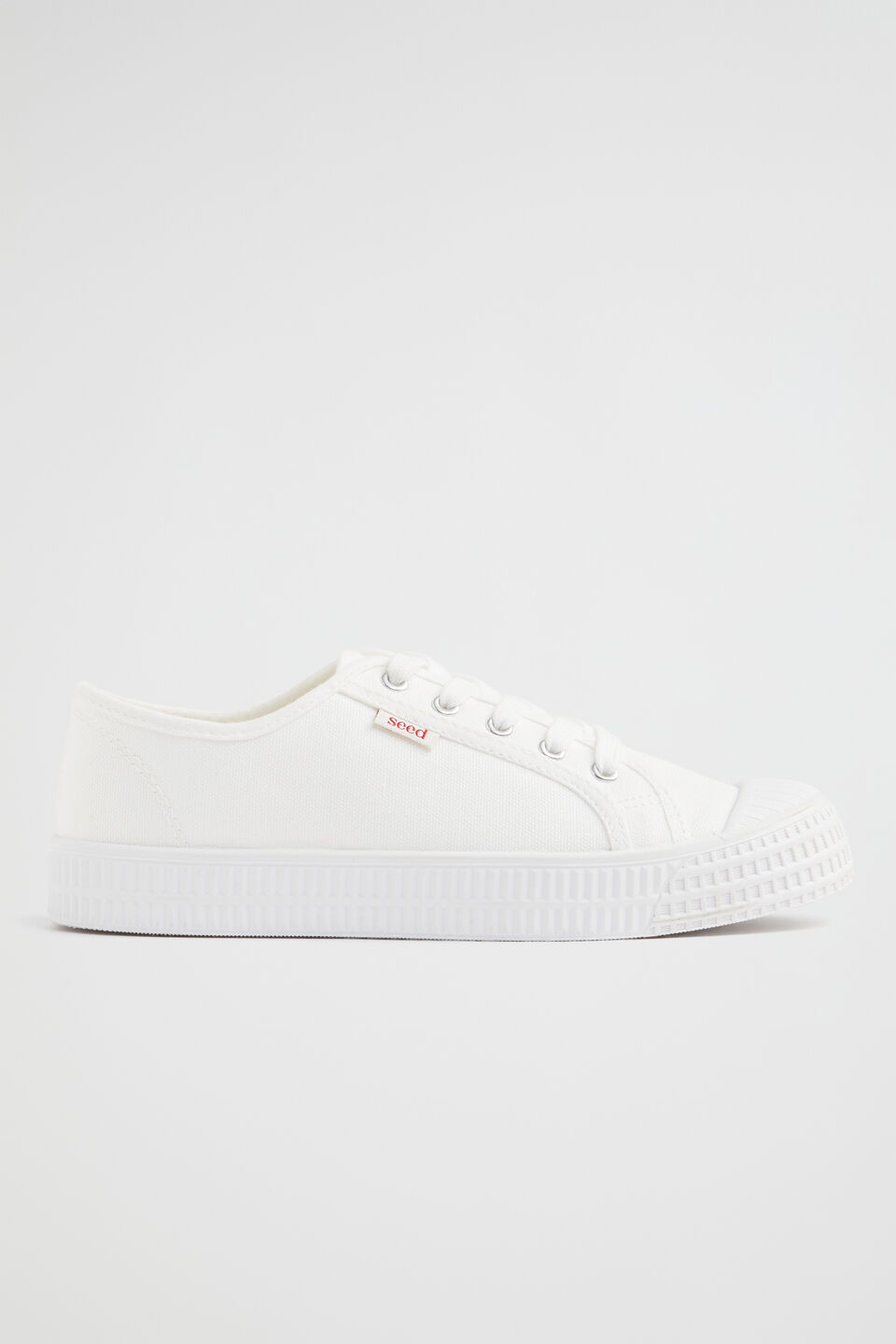 Basic Canvas Lace Up Sneaker  White