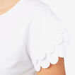 Scallop Sleeve Top    hi-res