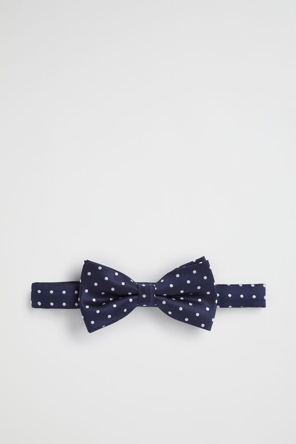 Spot Bow Tie  Multi  hi-res