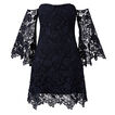 Strapless Lace Dress    hi-res