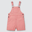 Woven Stripe Overall    hi-res
