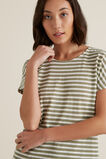 Textured Striped T Shirt    hi-res