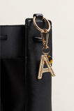 Letter Keyring    hi-res