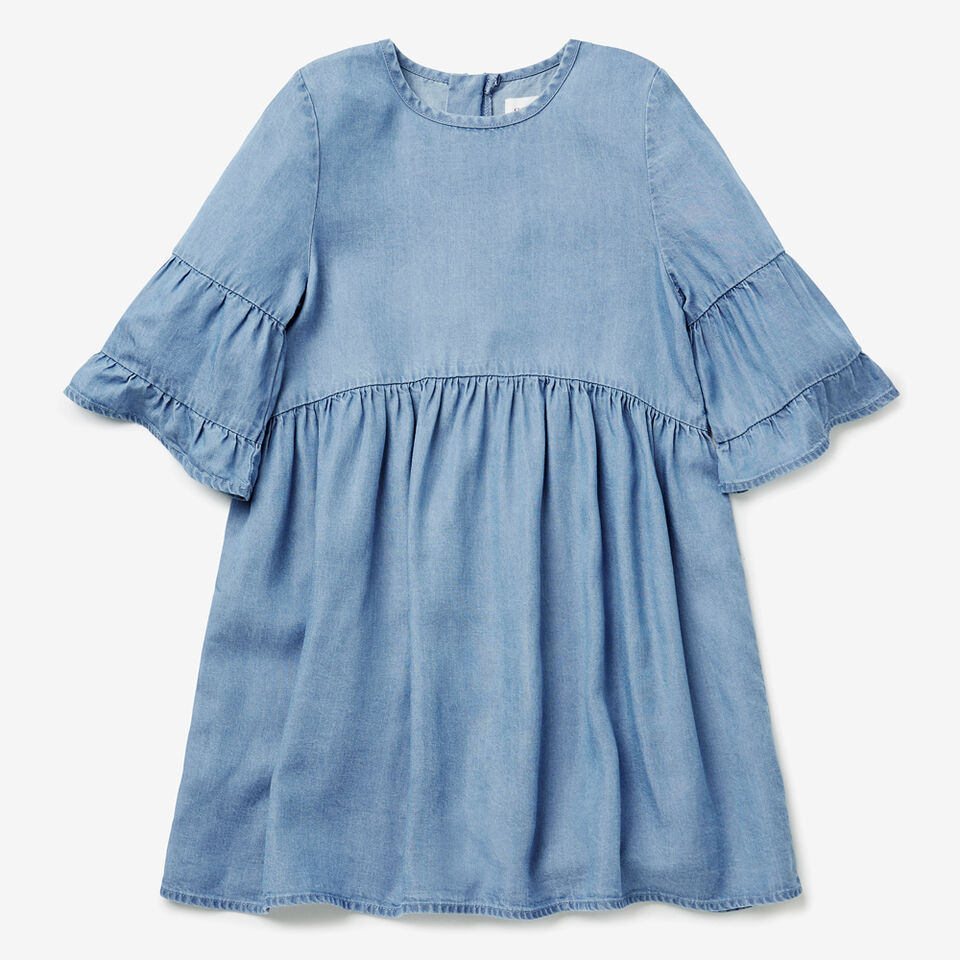 Frill Sleeve Dress  