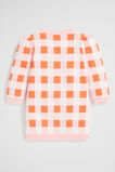 Gingham Knit Dress  Dusty Rose  hi-res