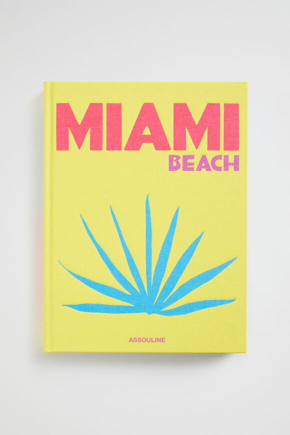 Miami Beach  Multi  hi-res