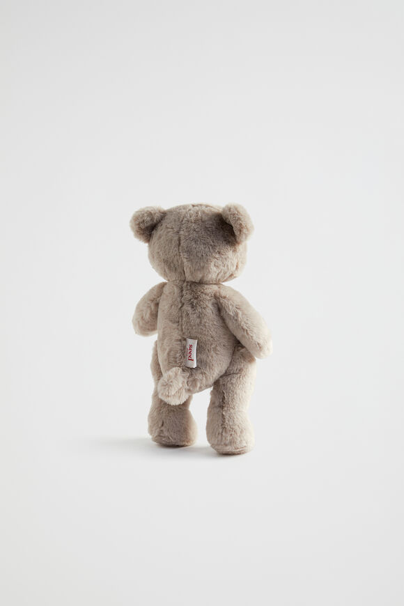 Bobby Bear  Pebble  hi-res