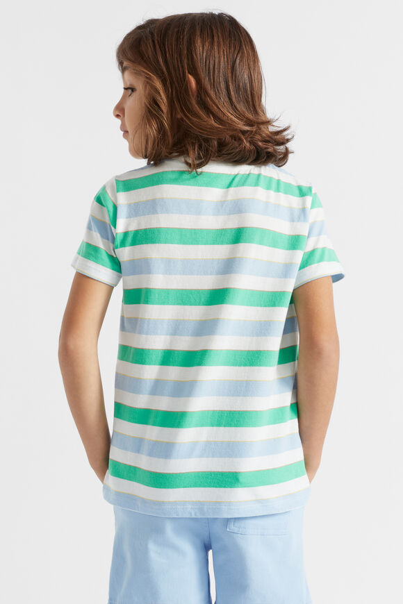 Big Stripe Tee  Multi  hi-res