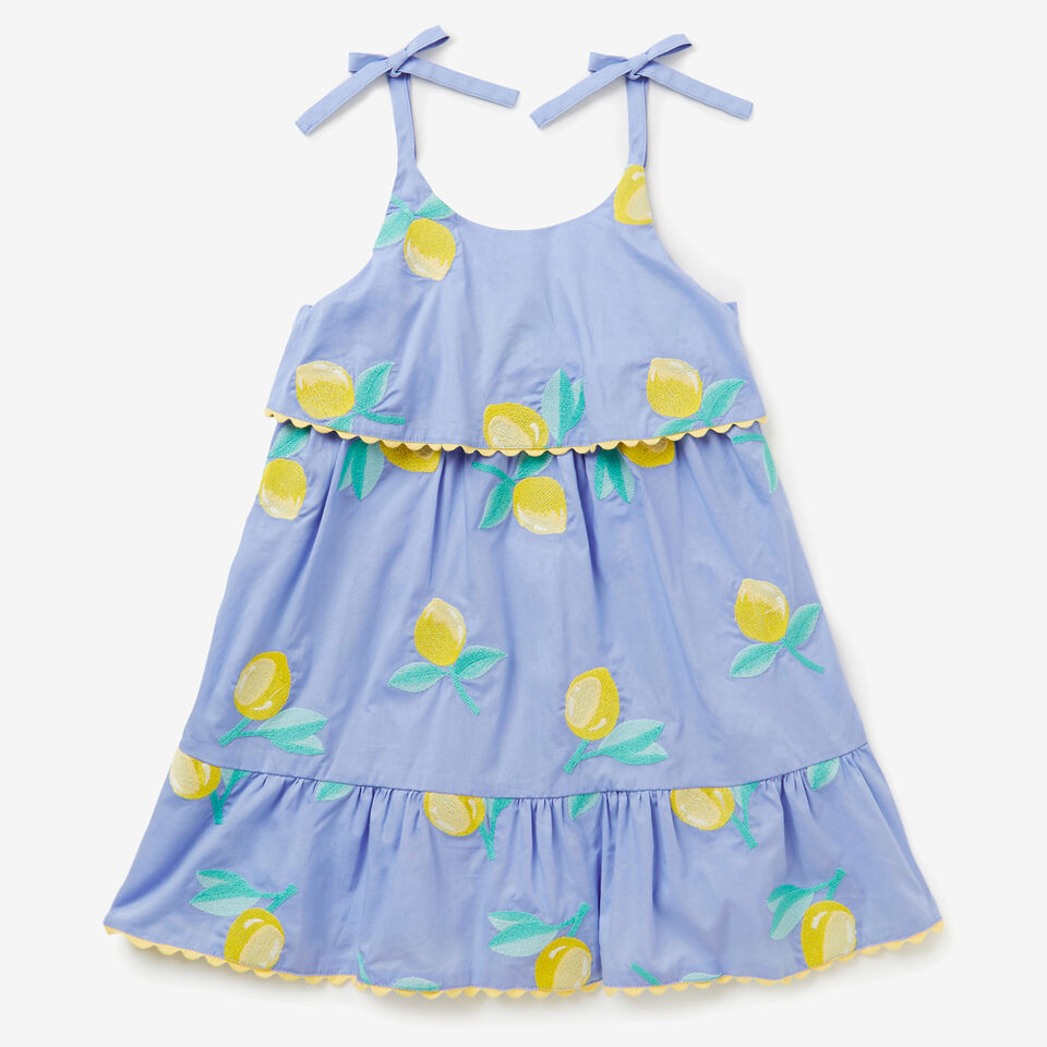 Lemon Embroidered Dress  