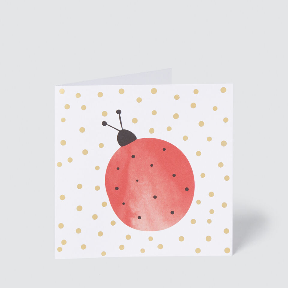 Ladybug Card  