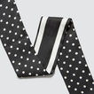 Stripe Spot Skinny Scarf    hi-res