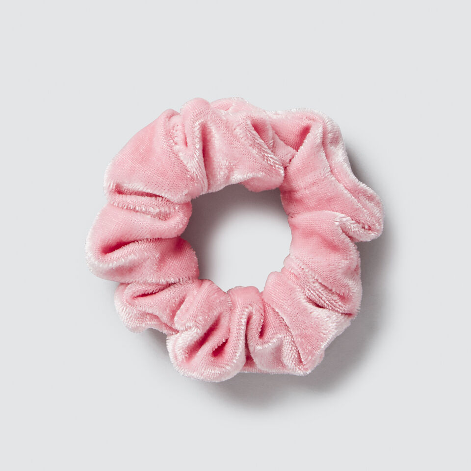 Velvet Scrunchie  