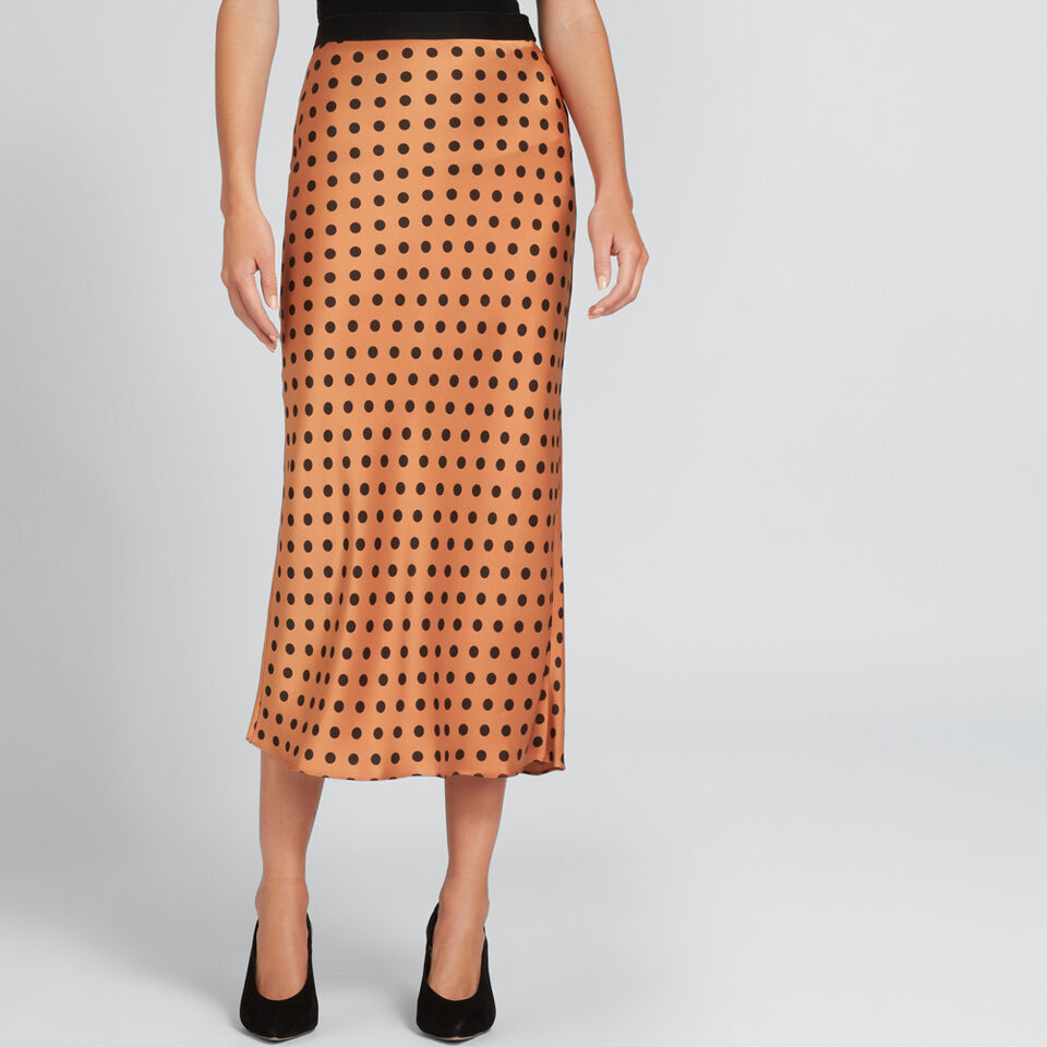 Printed Satin Skirt  