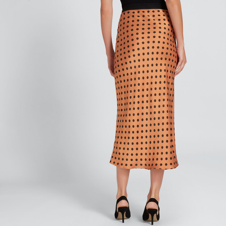 Printed Satin Skirt  
