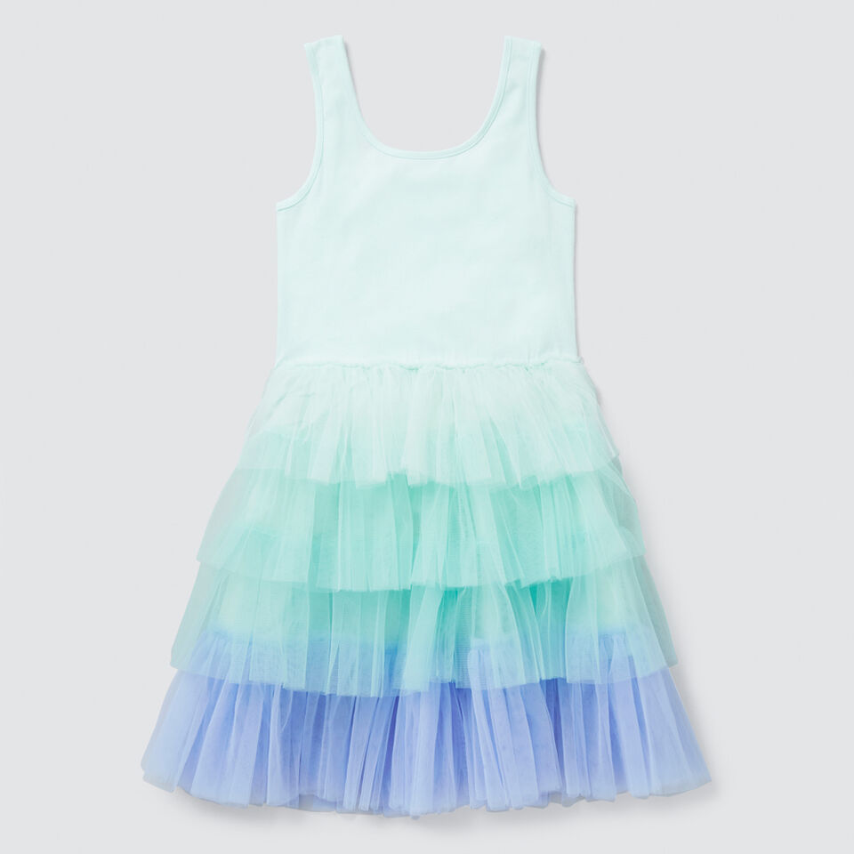 Ombre Tutu Dress  