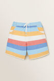 Multi Stripe Shorts    hi-res