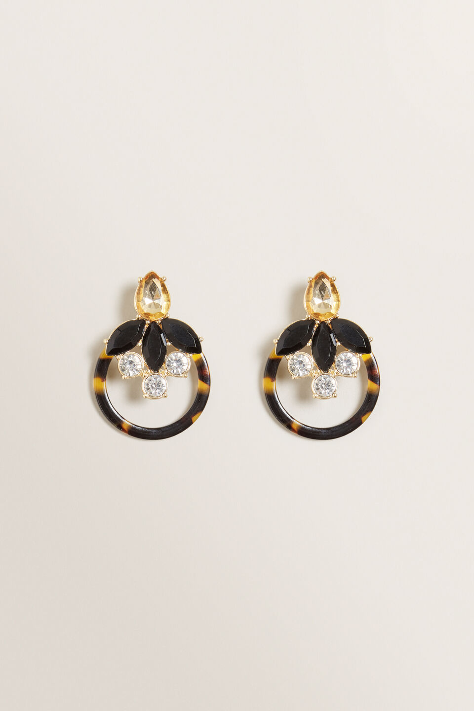 Circle Stone Earrings  