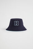 Reversible Initial Bucket Hat  H  hi-res