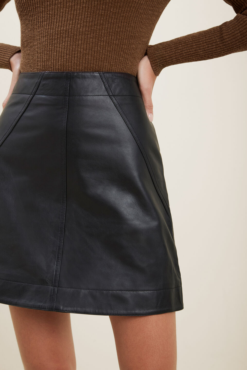 Leather A-Line Mini Skirt  Black