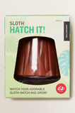 Hatch It Sloth    hi-res