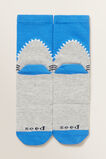 Shark Socks    hi-res