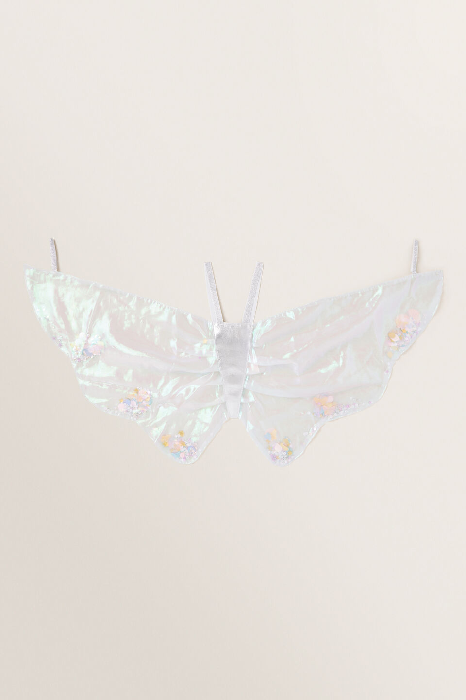 Confetti Fairy Wings  