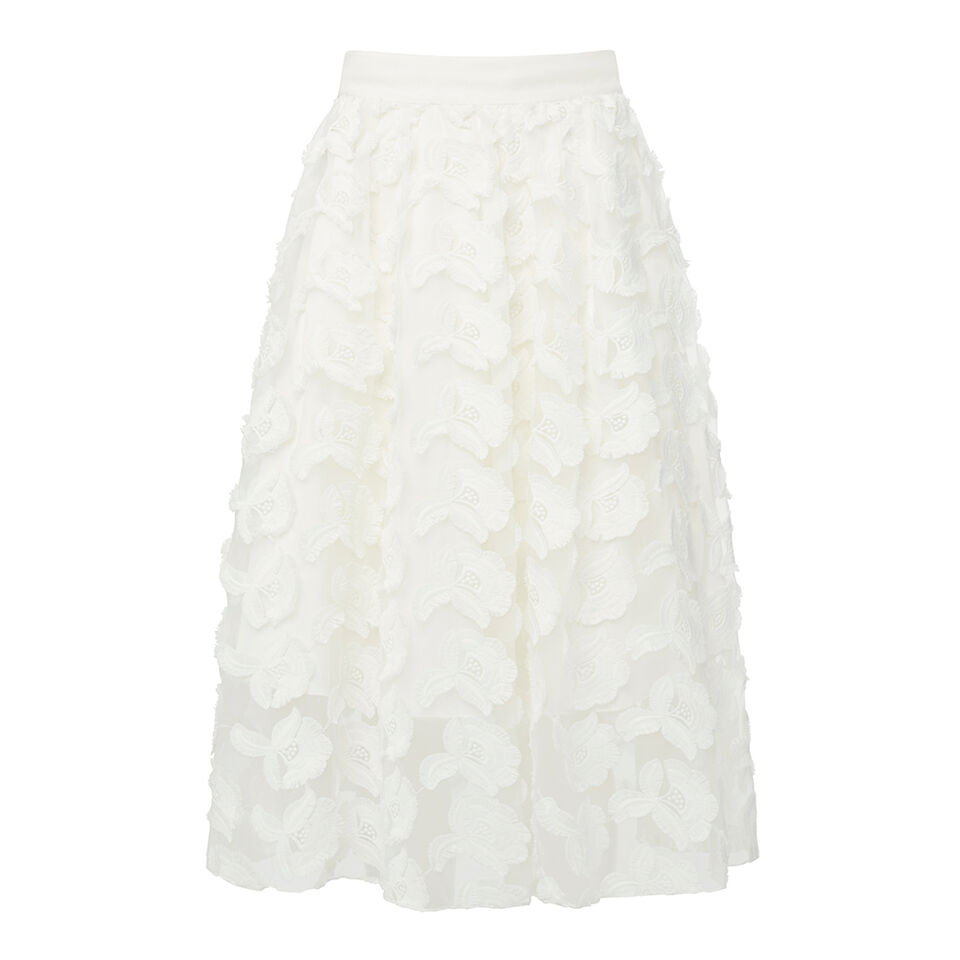 Collection Lace Flare Skirt  