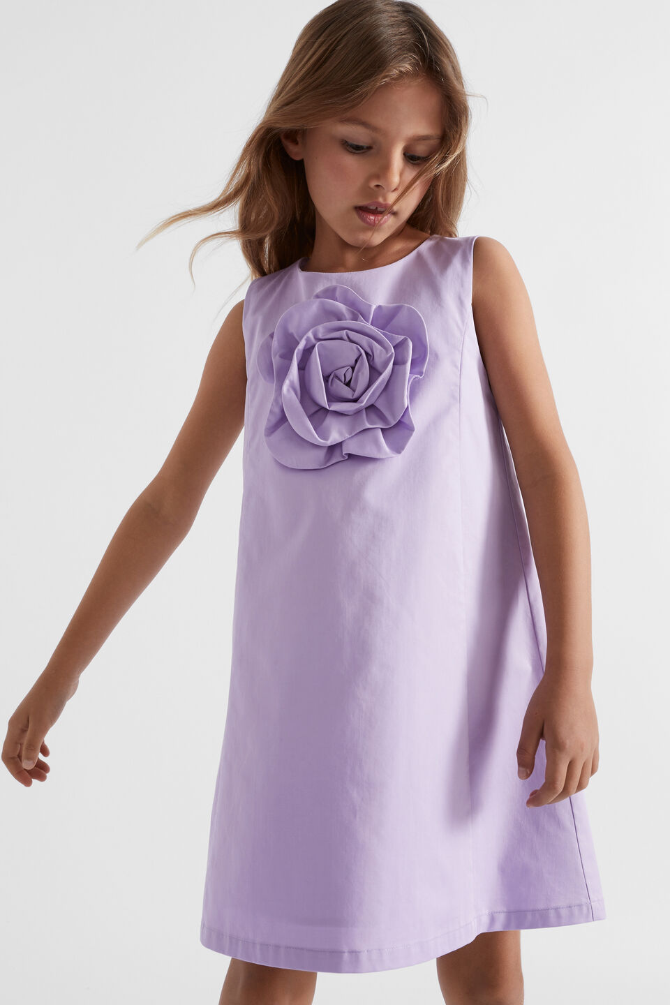 Rosette Shift Dress  Lavender