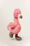 Bashful Small Flamingo    hi-res