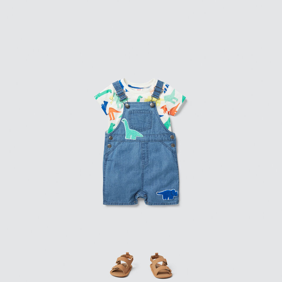 Dino Patches Overall  