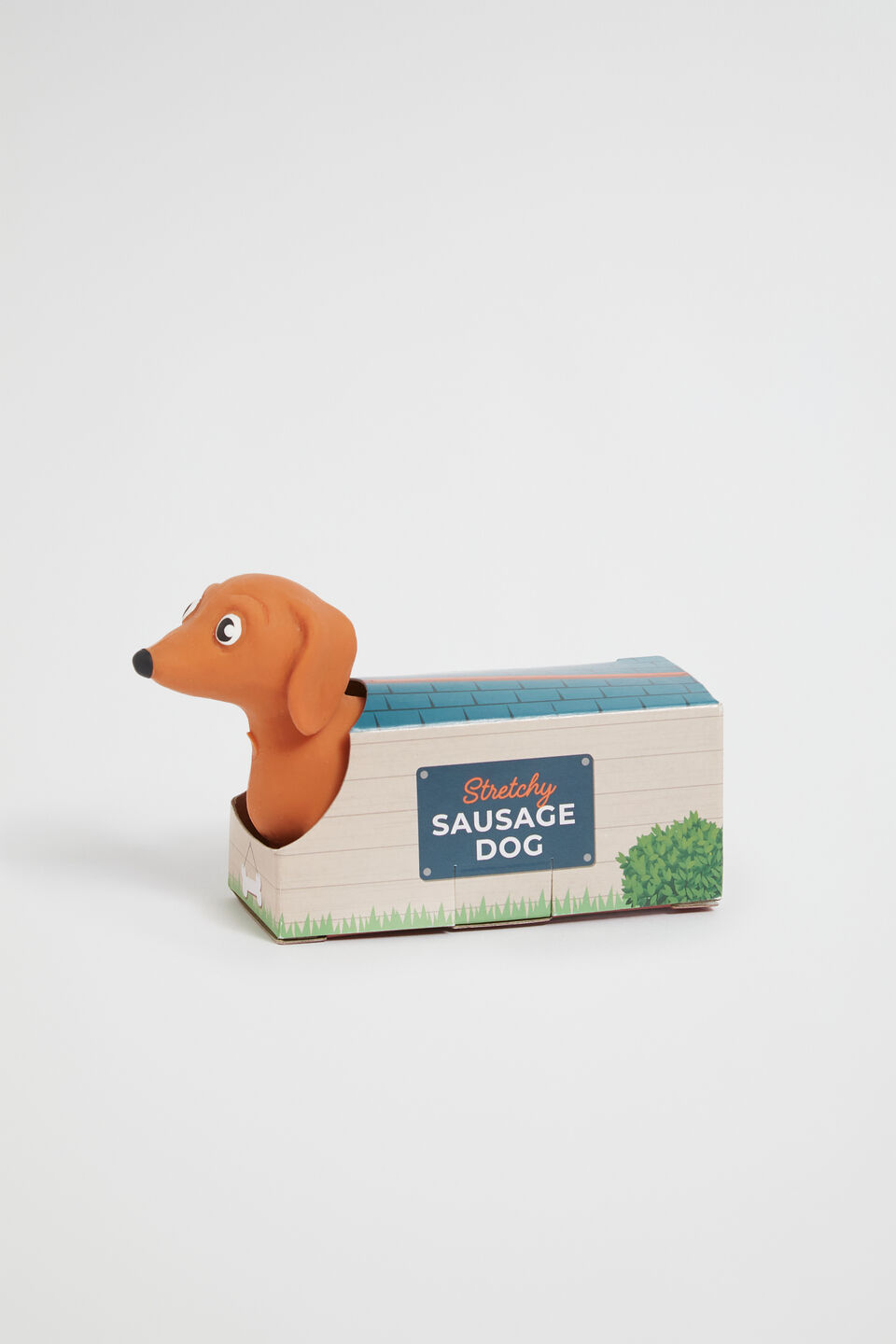 Stretch Sausage Dog  Multi