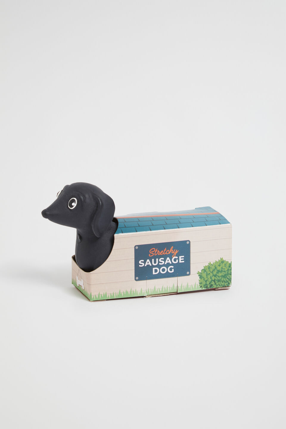 Stretch Sausage Dog  Multi