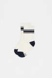 Stripe Rib Sock  Navy  hi-res