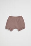 Rib Bloomer  Teddy  hi-res