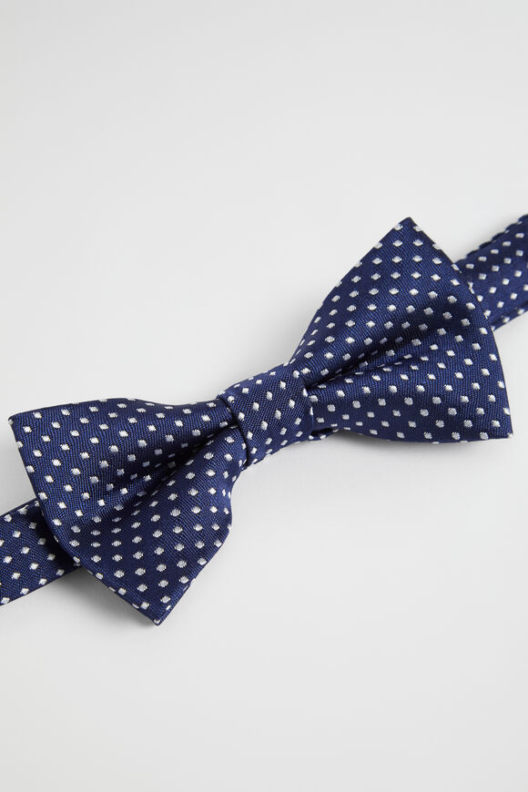 Spot Bowtie  Multi  hi-res