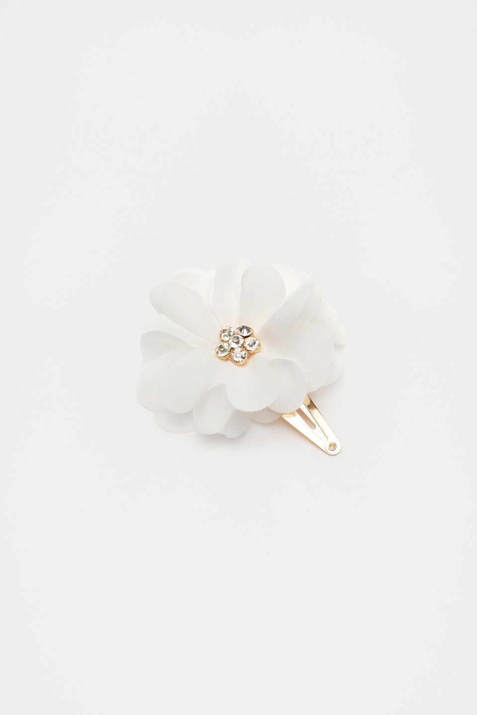 Chiffon Jewel Snap  Canvas