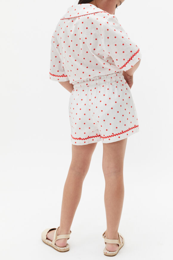Spot Short  Canvas  hi-res