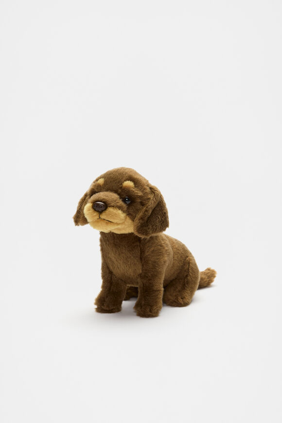 Dachshund Puppy  Brown  hi-res