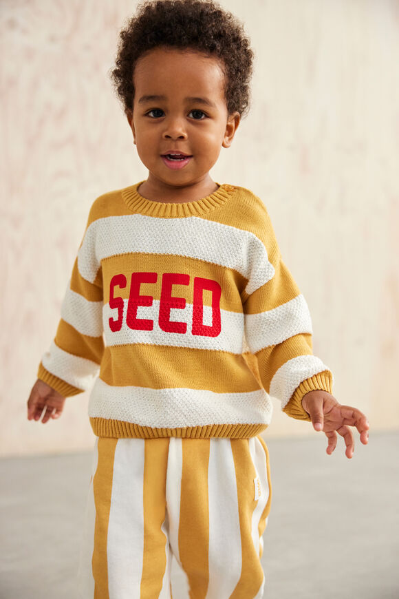 Stripe Knit Sweater  Saffron  hi-res