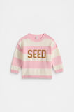 Stripe Knit Sweater  Rose Petal  hi-res