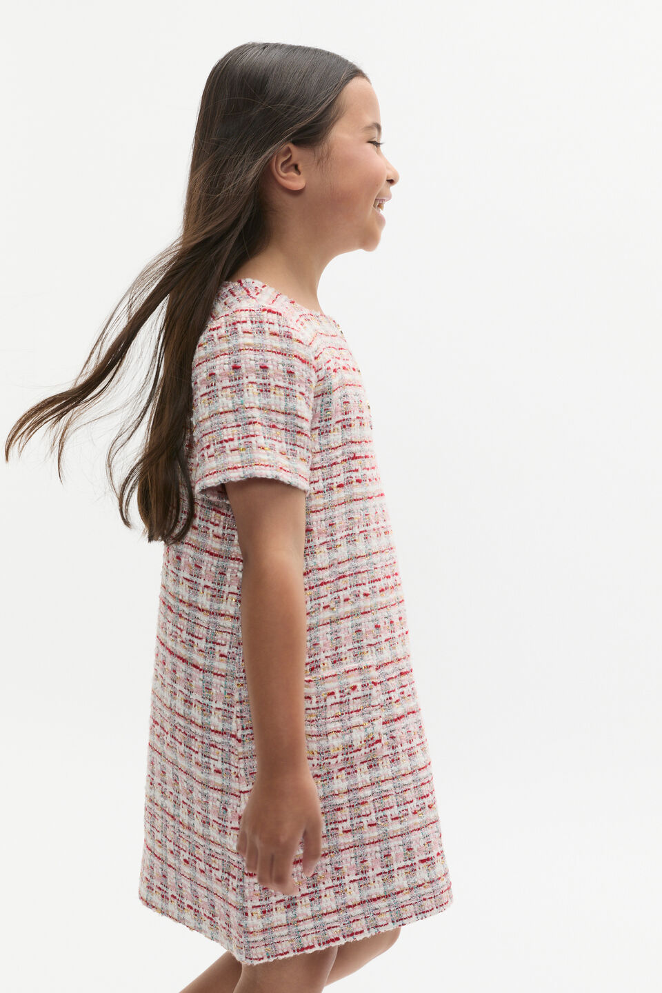 Tweed Dress  Multi