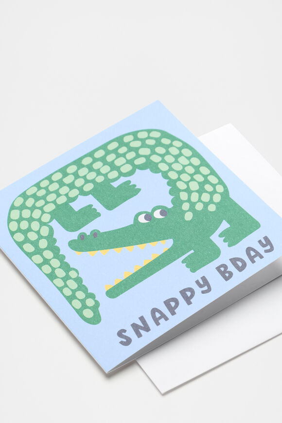 Large Snappy Birthday Card  Multi  hi-res
