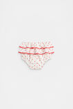Spot Bloomer  Canvas  hi-res