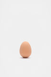 Bouncing Egg  Multi  hi-res