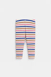 Stripe Rib Legging  Multi  hi-res