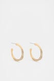 Pave Organic Hoops  Gold  hi-res