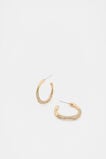 Pave Organic Hoops  Gold  hi-res