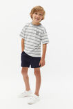 Core Stripe Tee  Storm Marle  hi-res