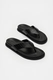 Piper Thong Sandal  Black Croc  hi-res